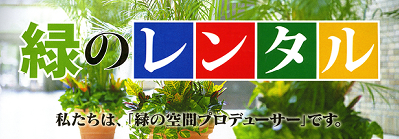 緑のレンタル　グリーンポケット練馬中央店