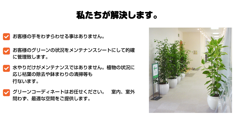 緑のレンタル　グリーンポケット練馬中央店